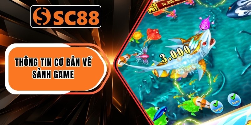 Thông tin cơ bản về sảnh game