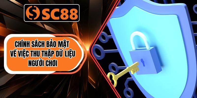 Chính sách bảo mật về việc thu thập dữ liệu người chơi