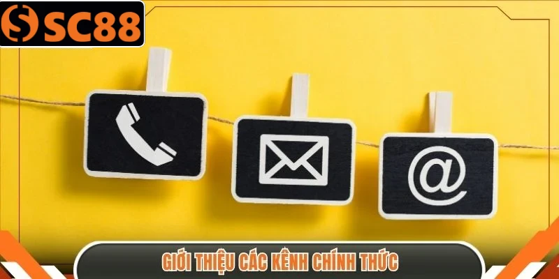 Giới thiệu các kênh chính thức